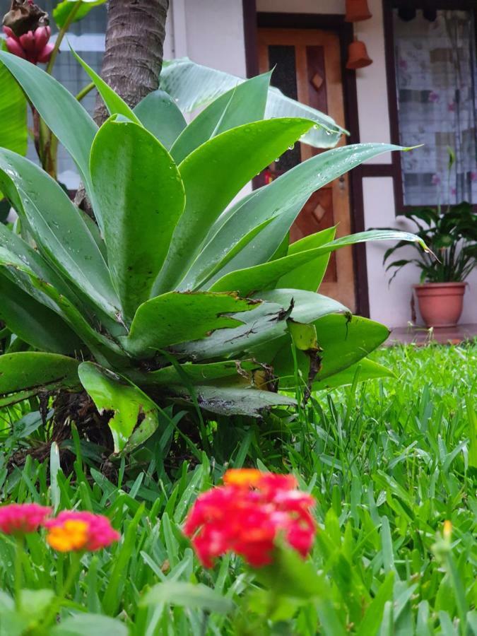Turrialba Bed & Breakfast 외부 사진
