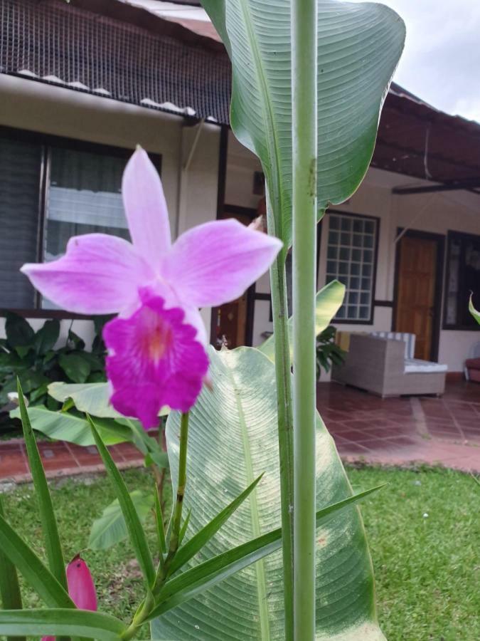 Turrialba Bed & Breakfast 외부 사진