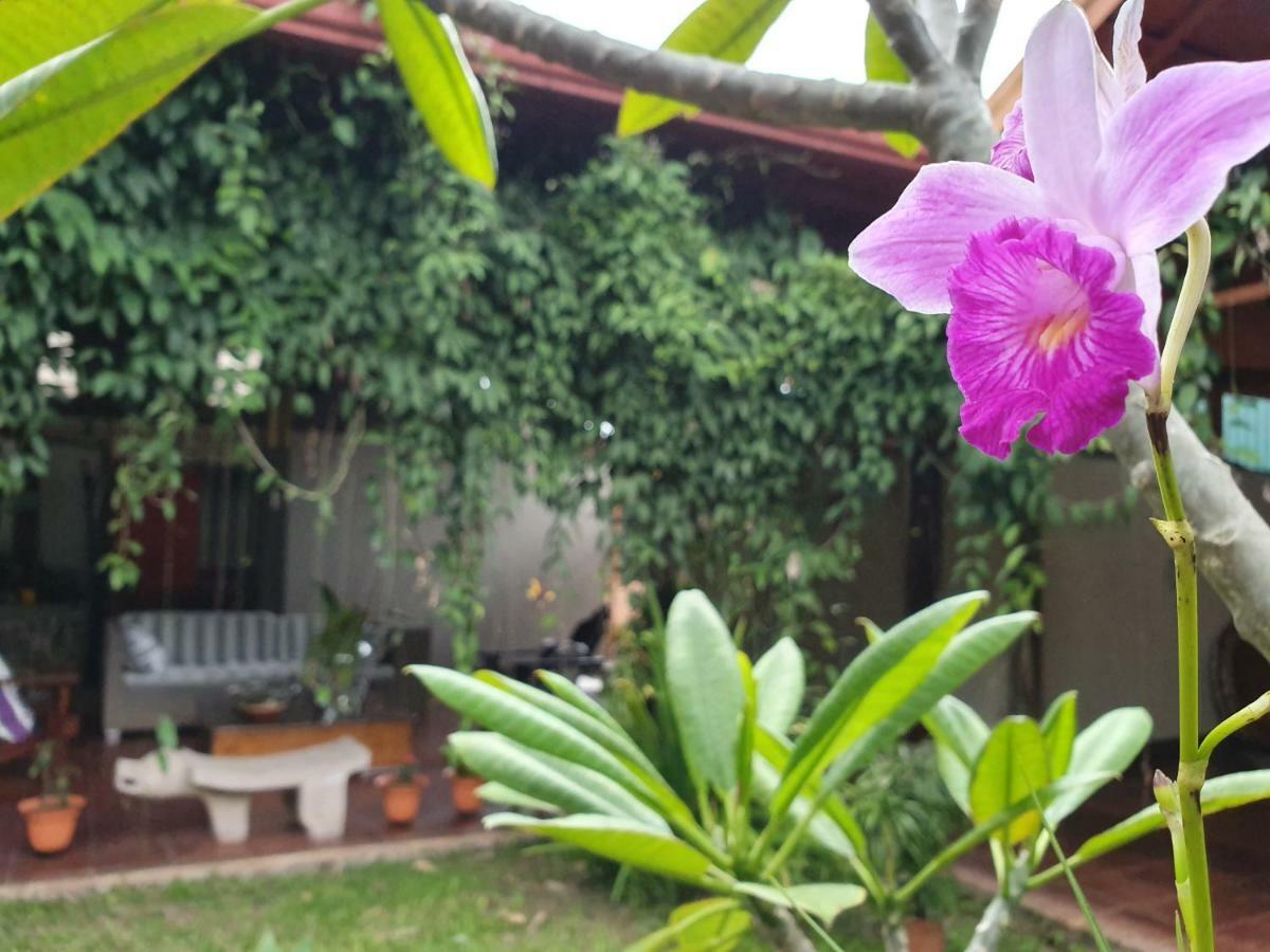 Turrialba Bed & Breakfast 외부 사진
