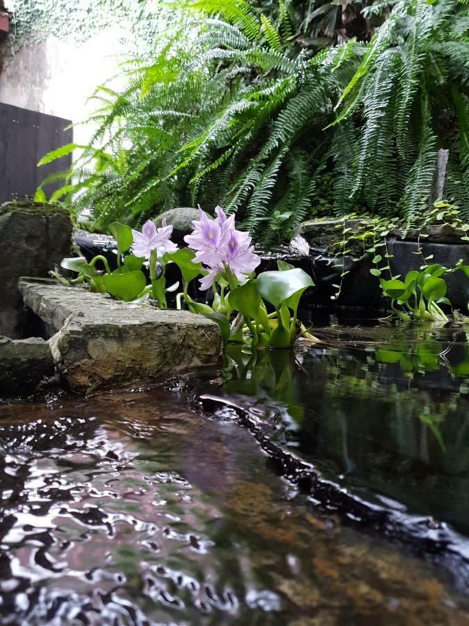 Turrialba Bed & Breakfast 외부 사진
