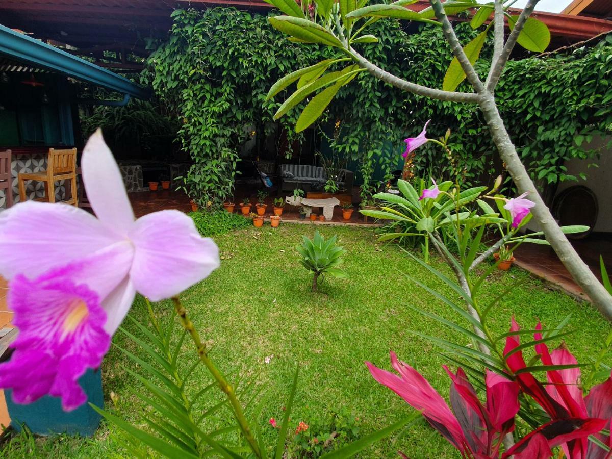 Turrialba Bed & Breakfast 외부 사진