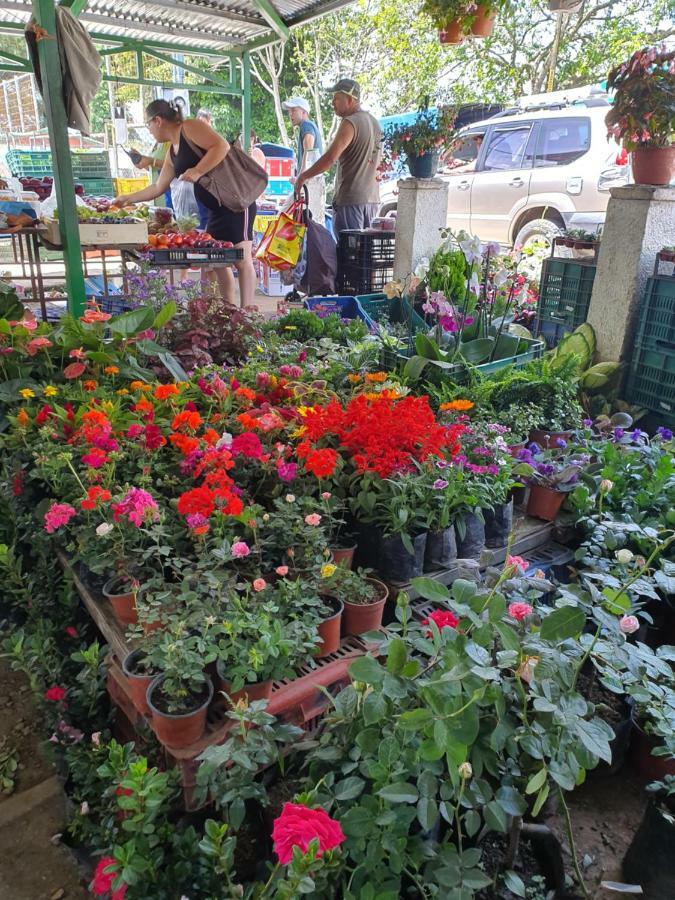 Turrialba Bed & Breakfast 외부 사진